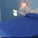 בית הארחה Carolina